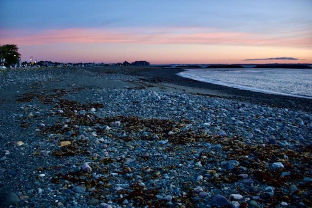 Winthrop Shore Reservation