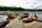 By spottedtail for Walden Pond State Reservation