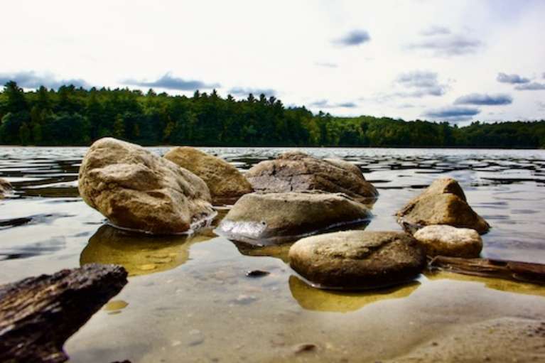 Walden Pond State Reservation