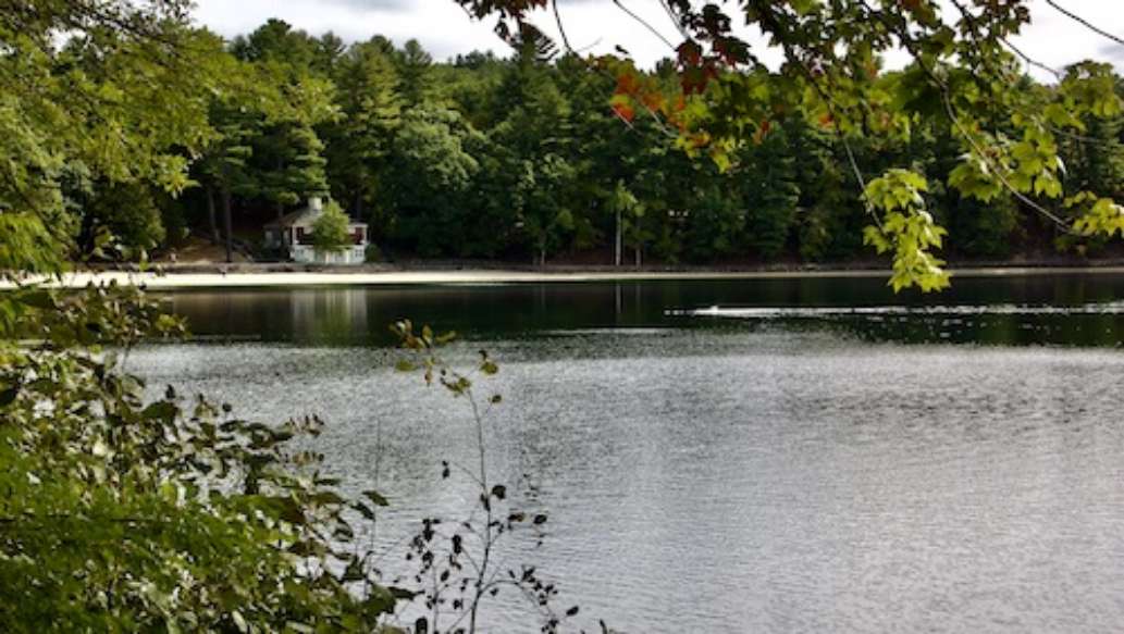 Walden Pond State Reservation