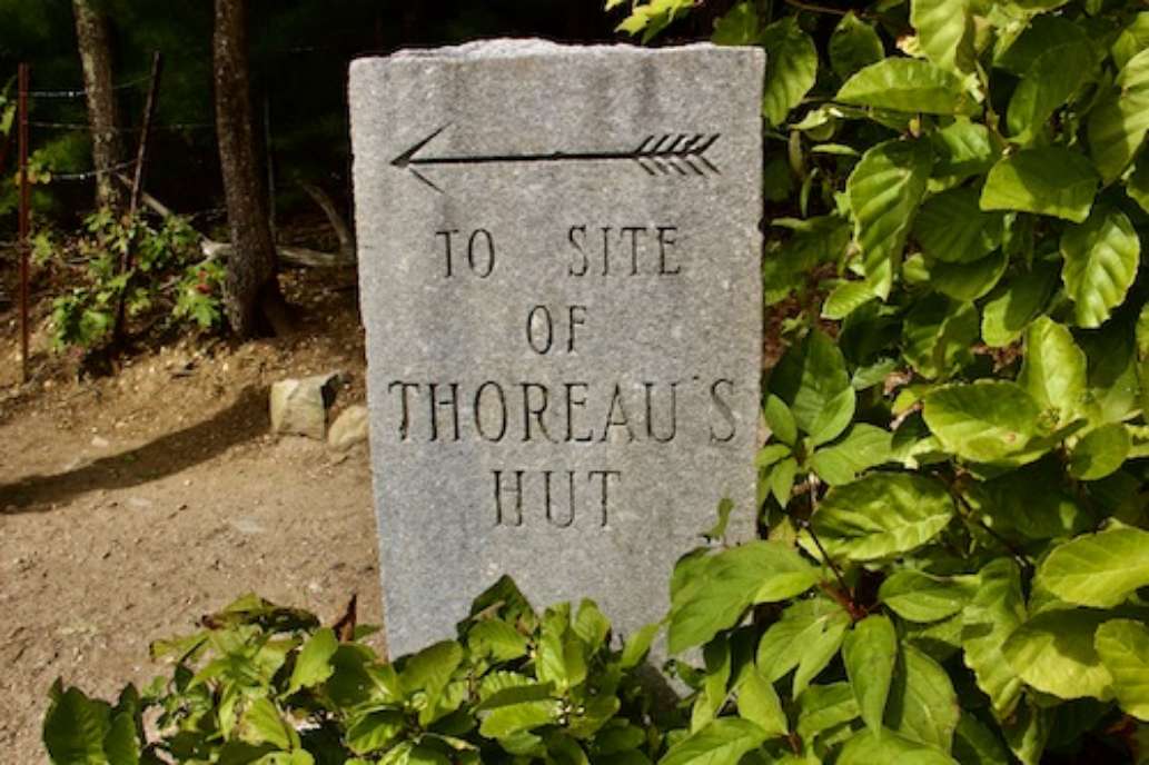 Walden Pond State Reservation