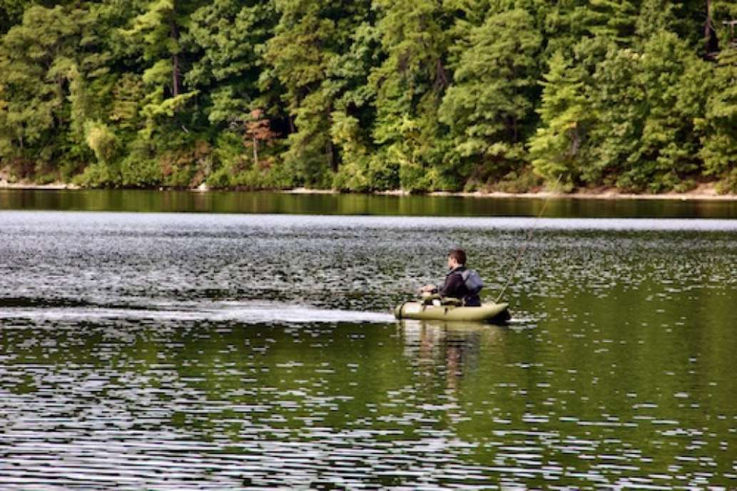 Walden Pond State Reservation