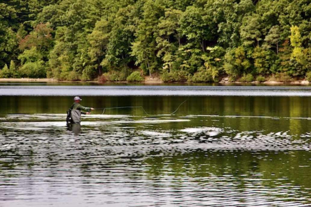 Walden Pond State Reservation