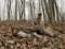 Salt Creek Hunting Preserve