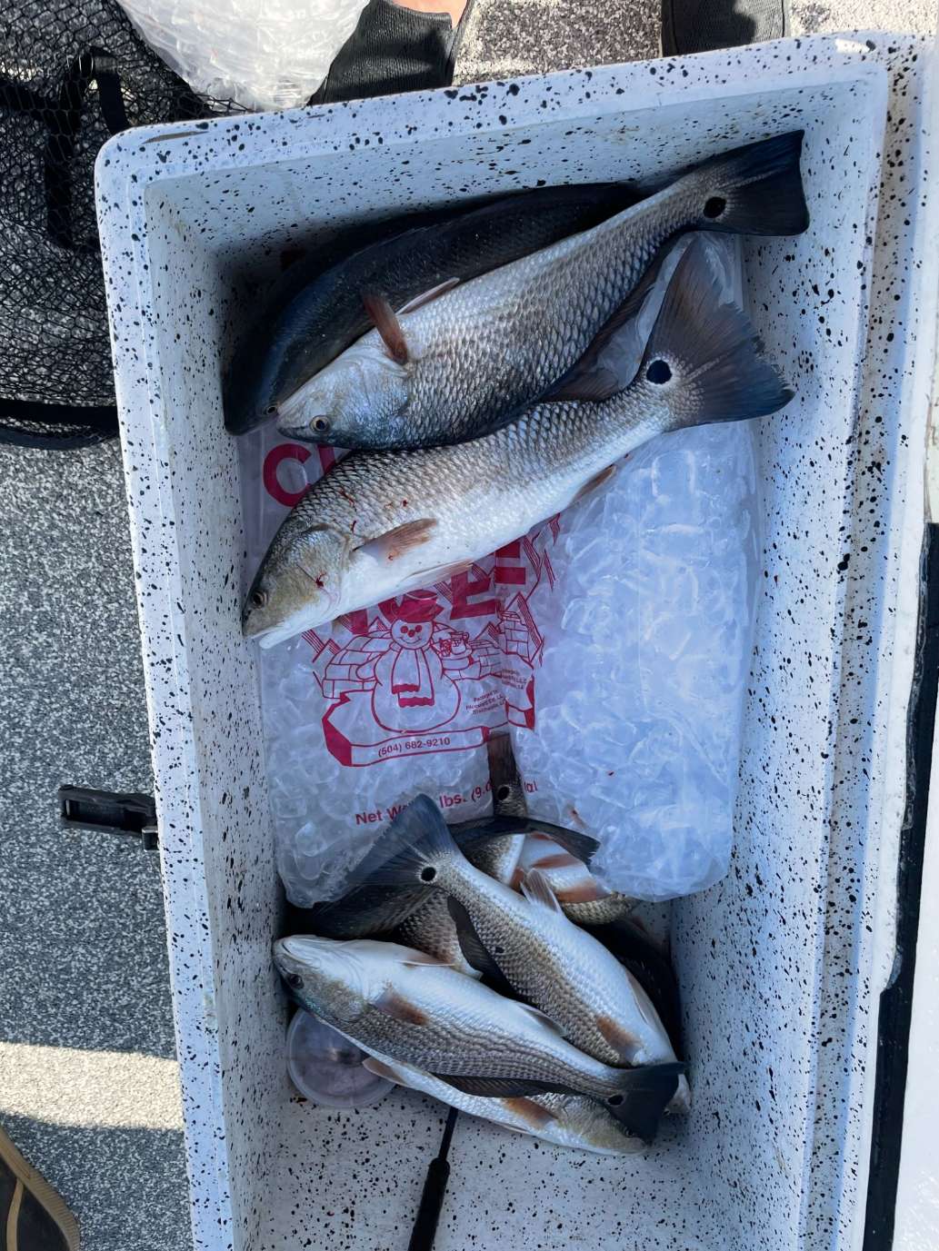 Great Redfish/Speck Fishing in South LA