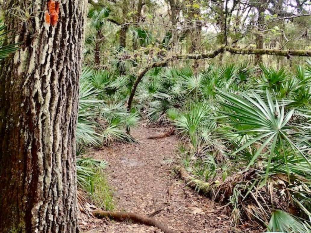 Seminole Ranch Conservation Area