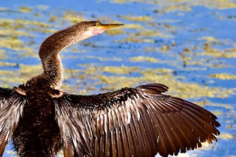 Buck Lake Conservation Area