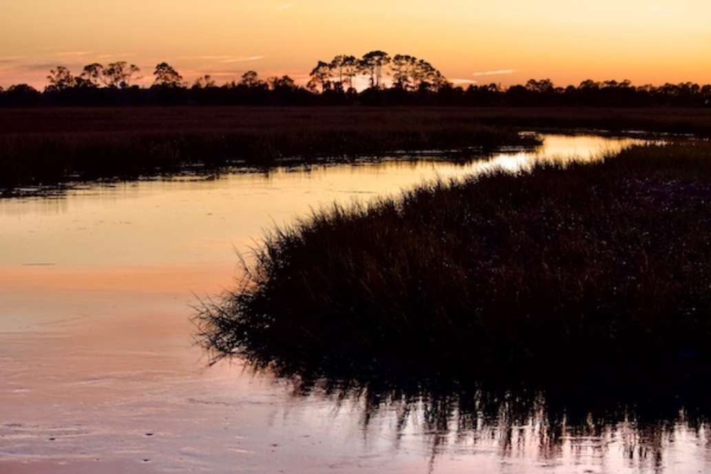 Hunting Island State Park