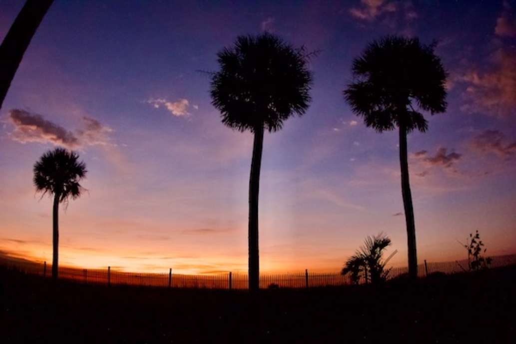 Hunting Island State Park