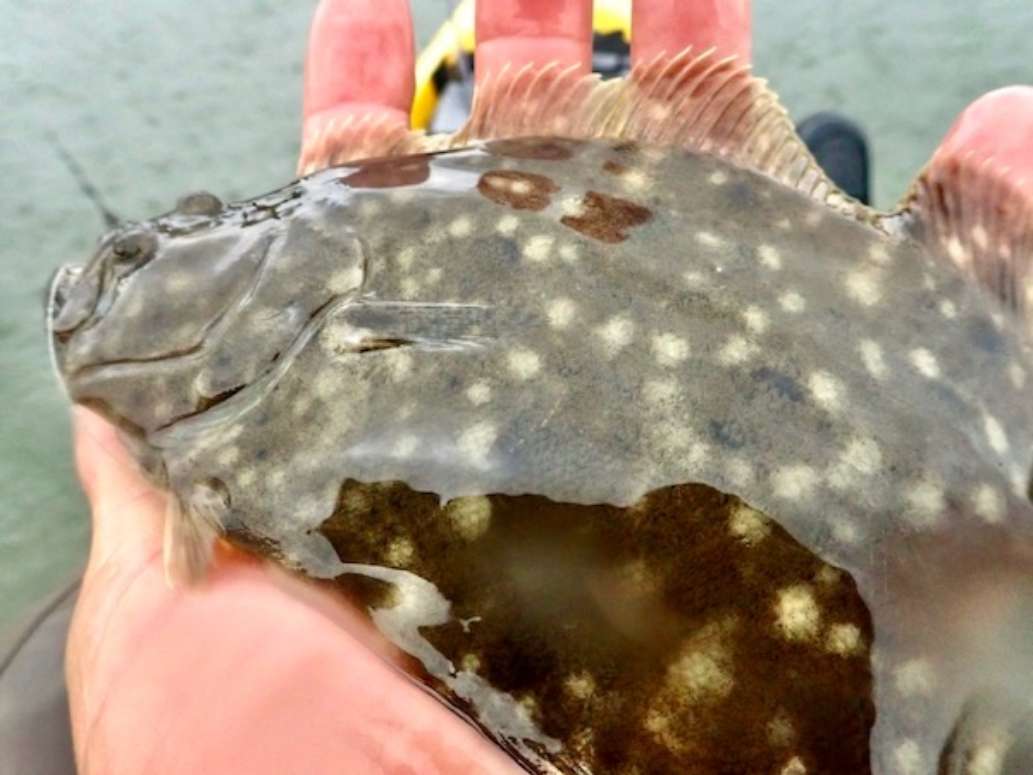 Hunting Island State Park