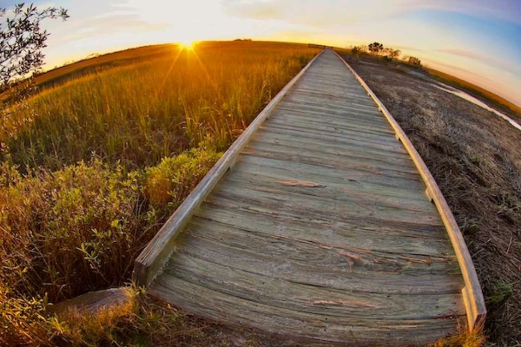 Hunting Island State Park