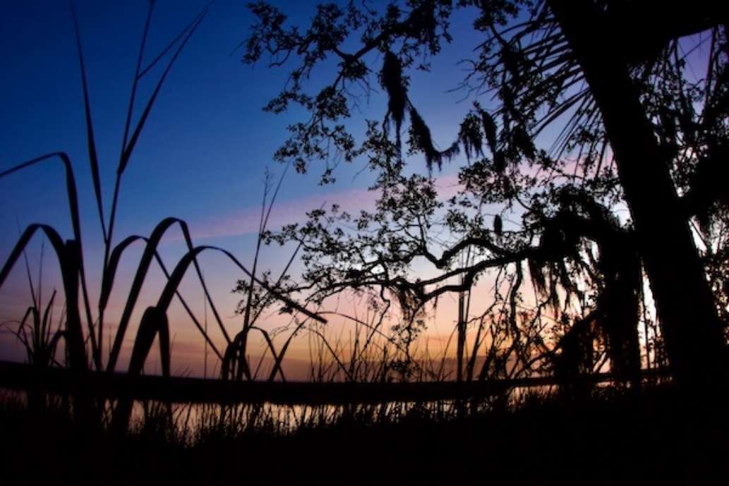 Fort McAllister State Park