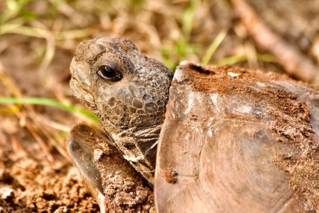 Crooked River State Park