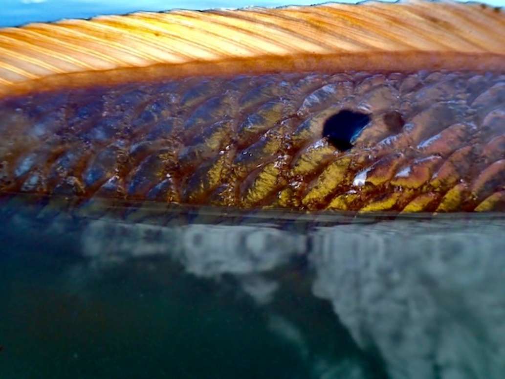 Crooked River State Park