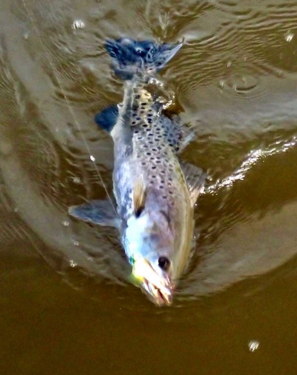 Crooked River State Park