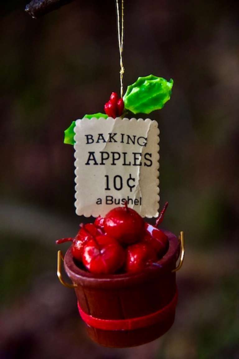 Lake Chabot Regional Park