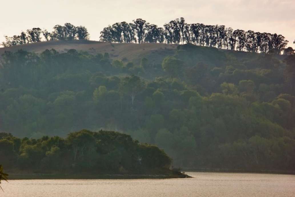 Lake Chabot Regional Park