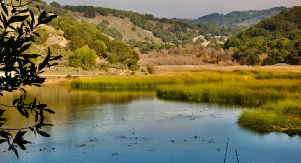 Lake Chabot Regional Park