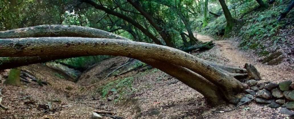 Lake Chabot Regional Park