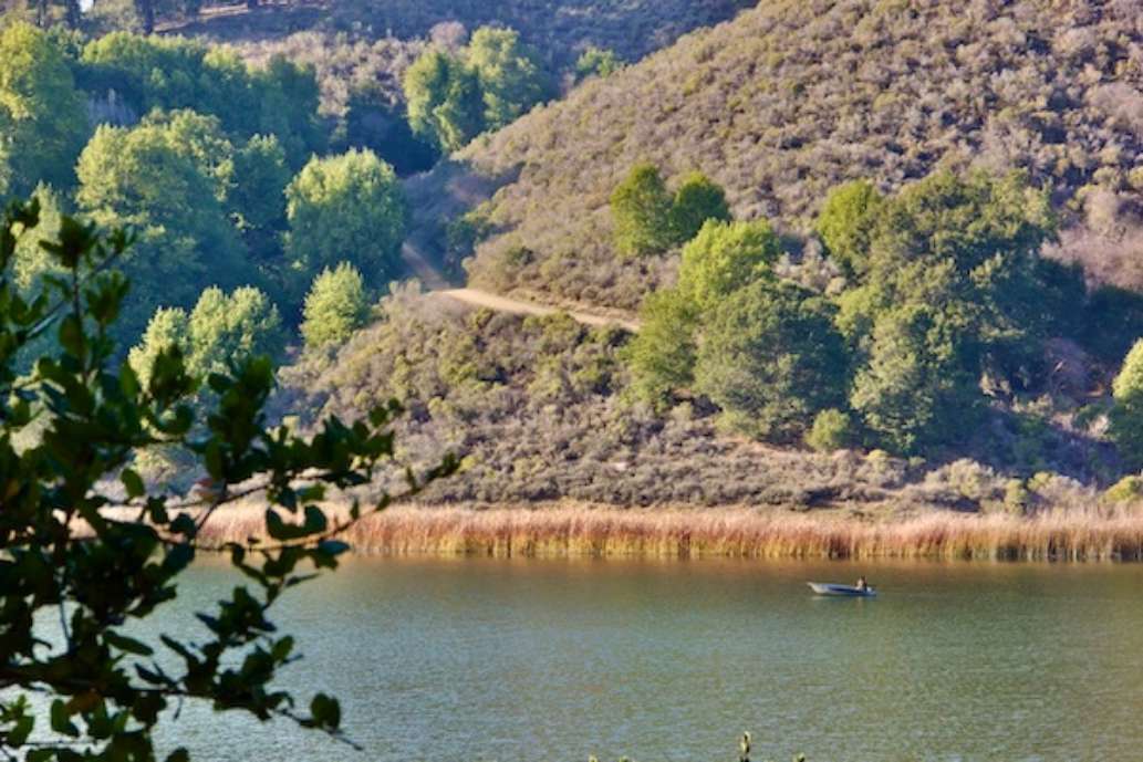 Lake Chabot Regional Park