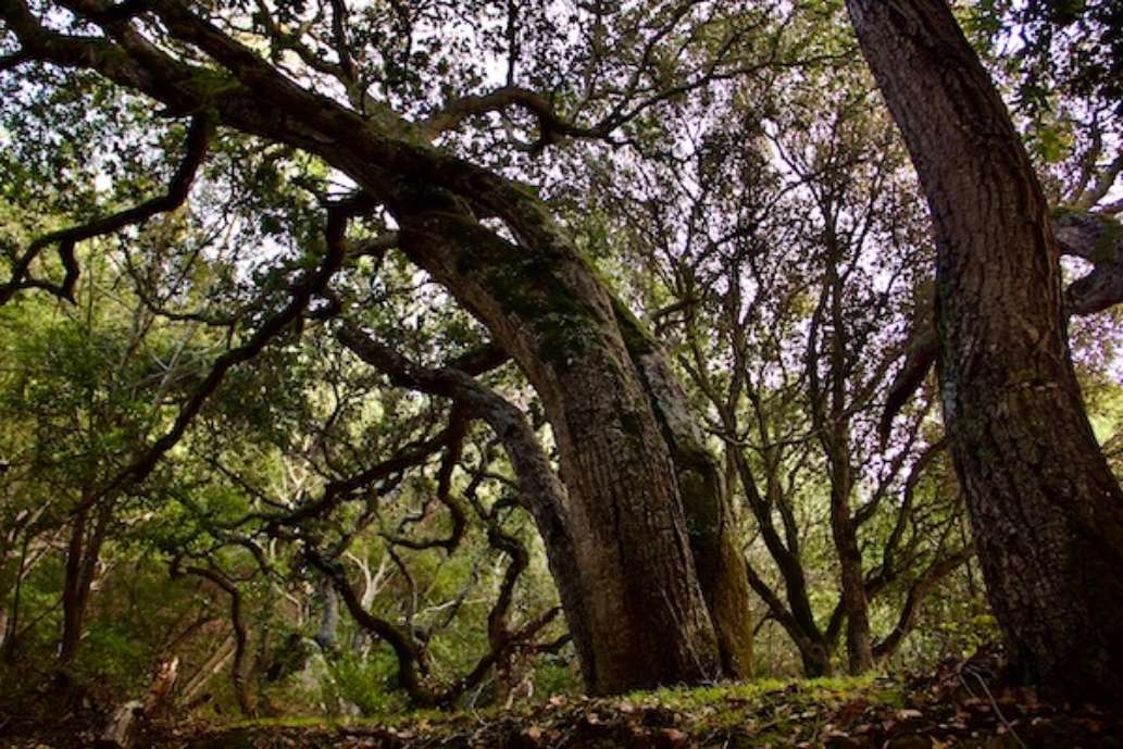 Lake Chabot Regional Park