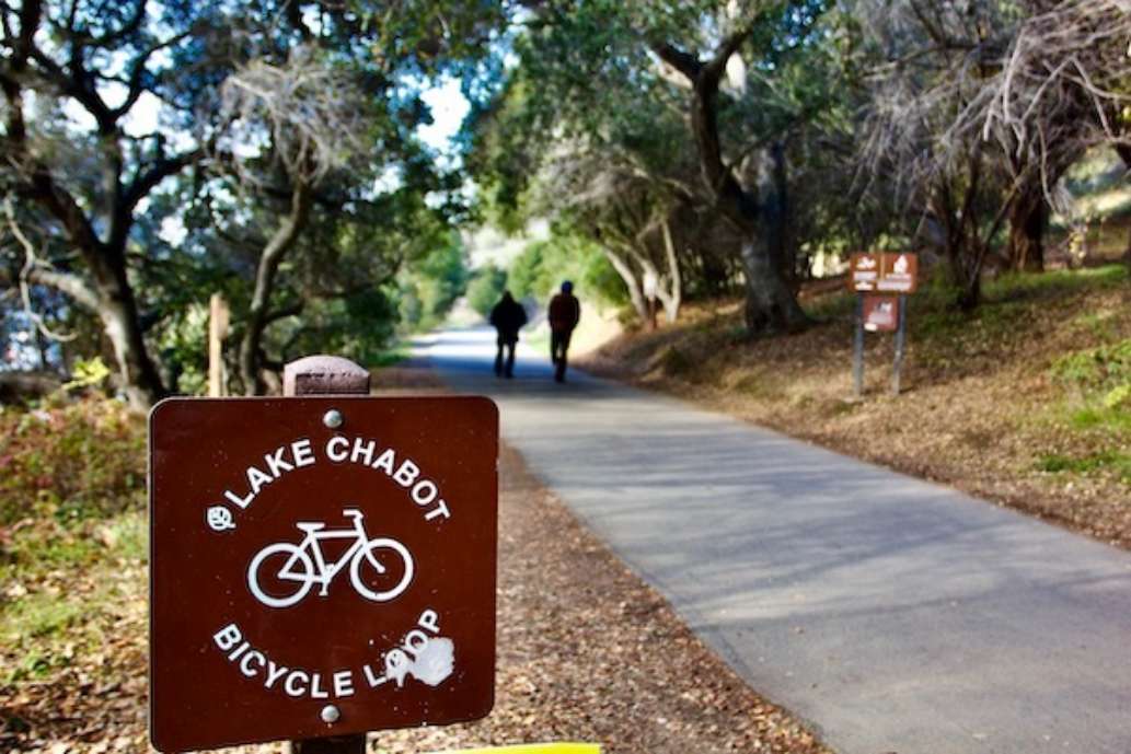 Lake Chabot Regional Park