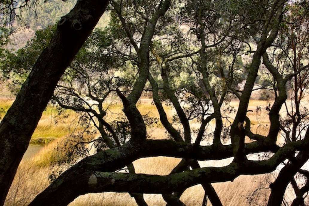 Lake Chabot Regional Park