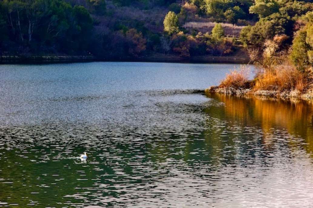 Lake Chabot Regional Park