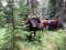 By Chinook Pass Outfitter for Chinook Pass Outfitters & Guides, Inc
