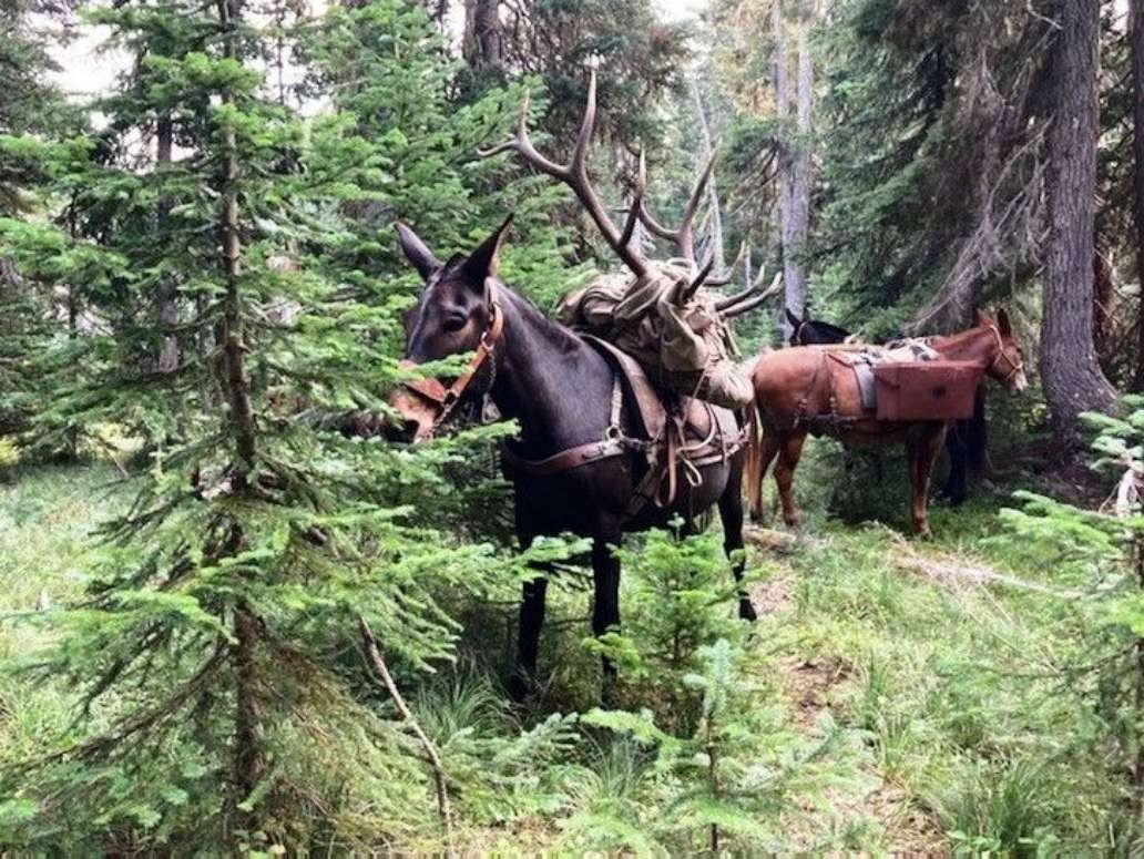 Ready to make your hunting experience a good one.