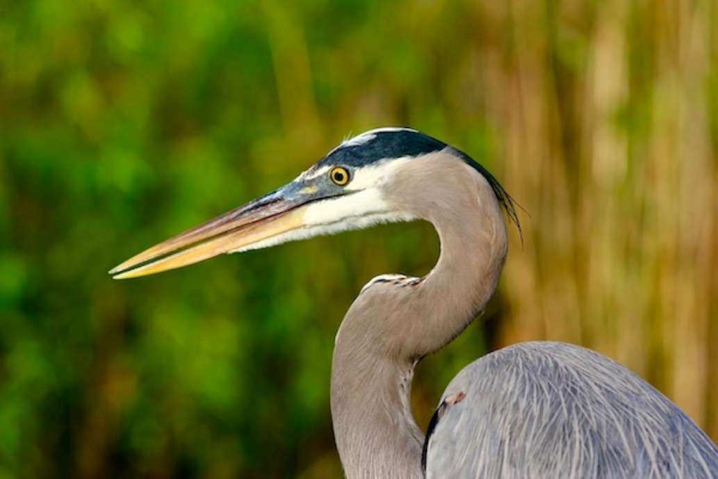Lower Wekiva River Preserve State Park