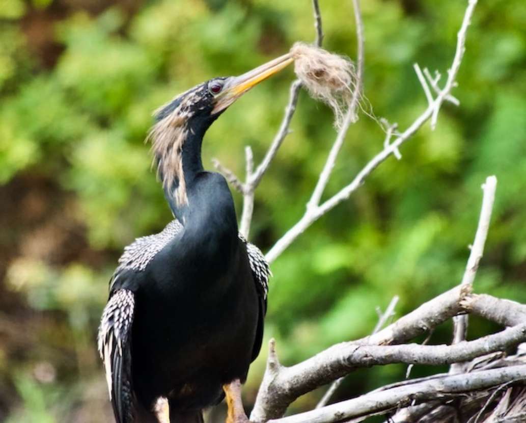 Lower Wekiva River Preserve State Park