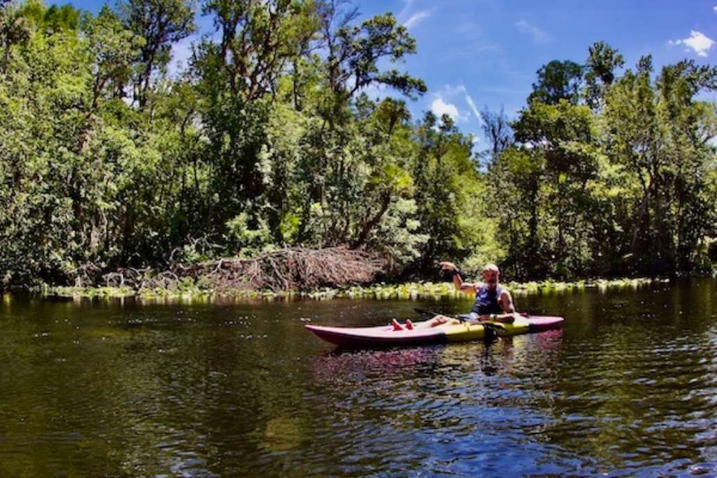 Lower Wekiva River Preserve State Park