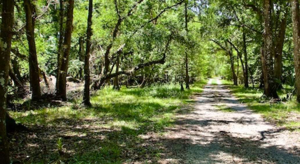 Hal Scott Regional Preserve