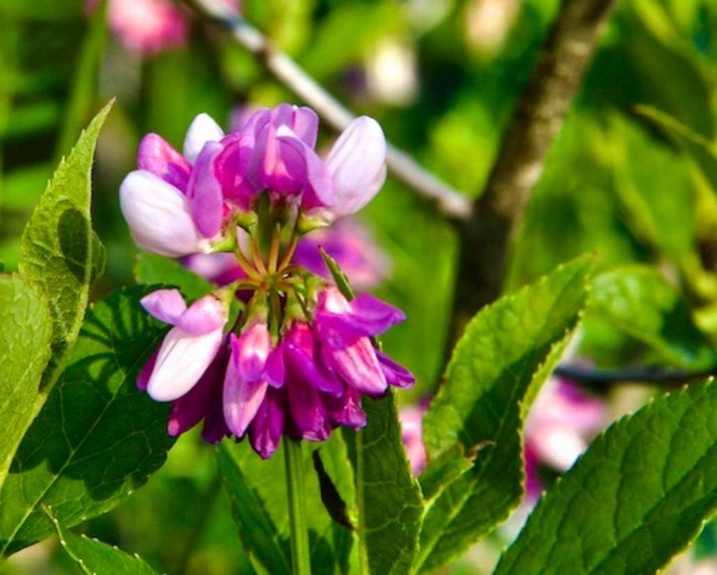 Lackawanna State Park