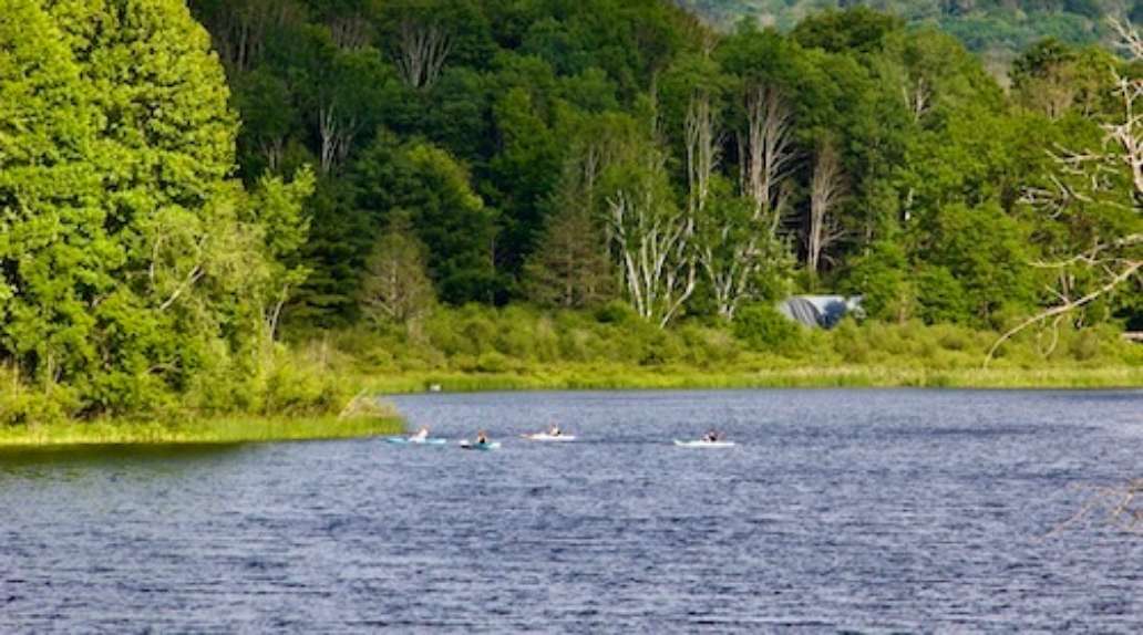 Lackawanna State Park