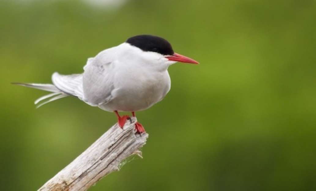 Katmai Lodge, Alaska