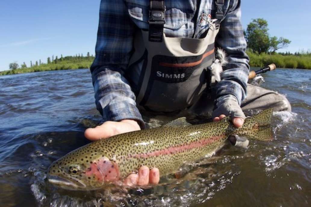 Katmai Lodge, Alaska