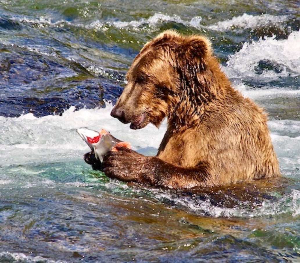 Katmai Lodge, Alaska