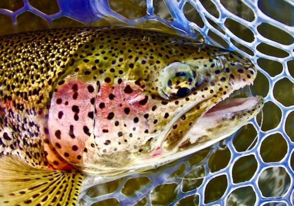 Katmai Lodge, Alaska