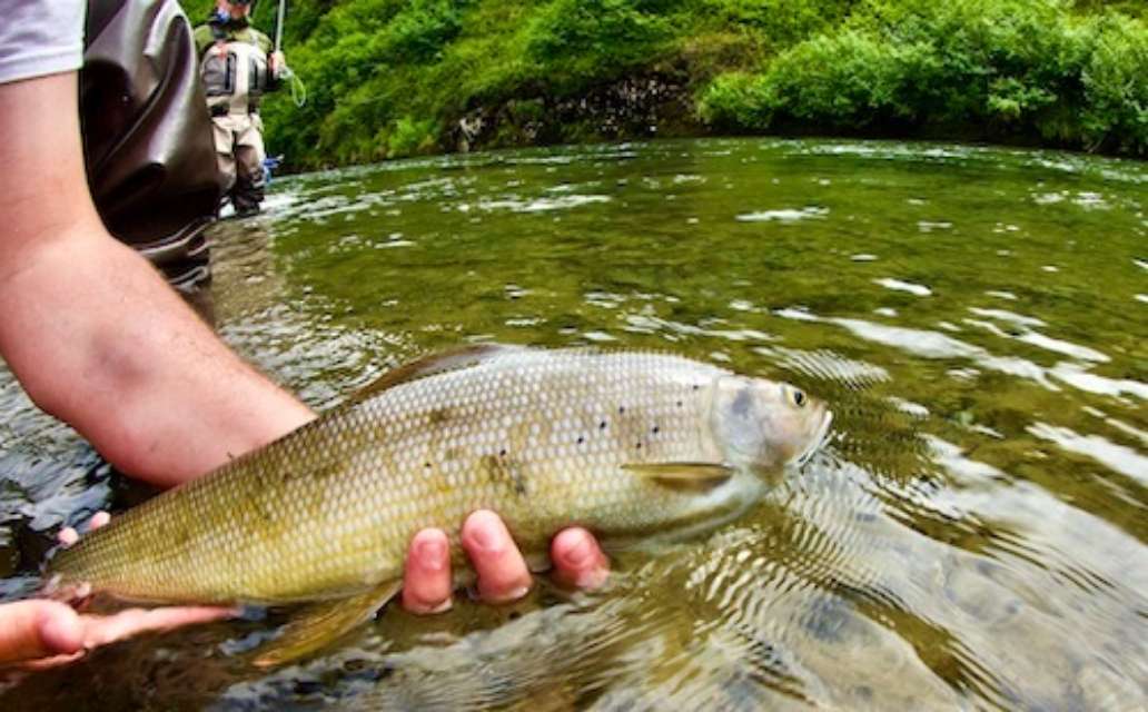 Fishing Bear Lodge, Alaska