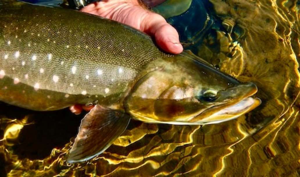 Fishing Bear Lodge, Alaska
