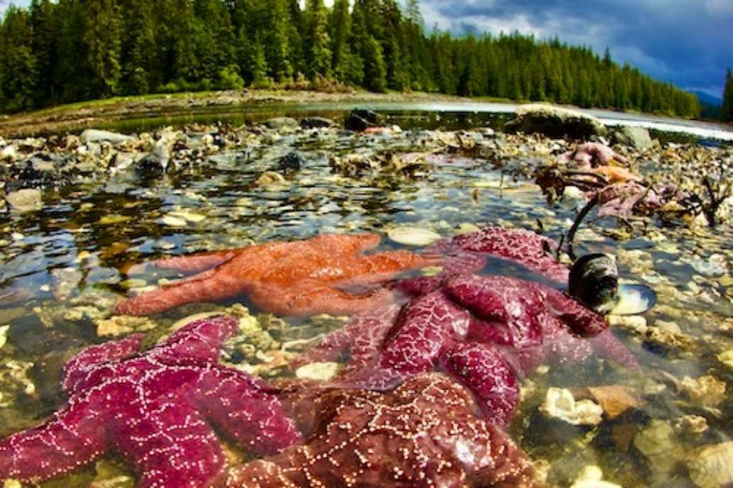 The Lodge at Whale Pass, Alaska