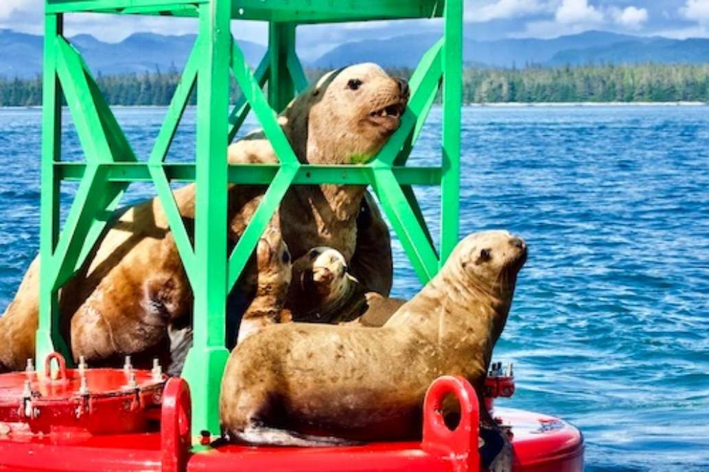 The Lodge at Whale Pass, Alaska