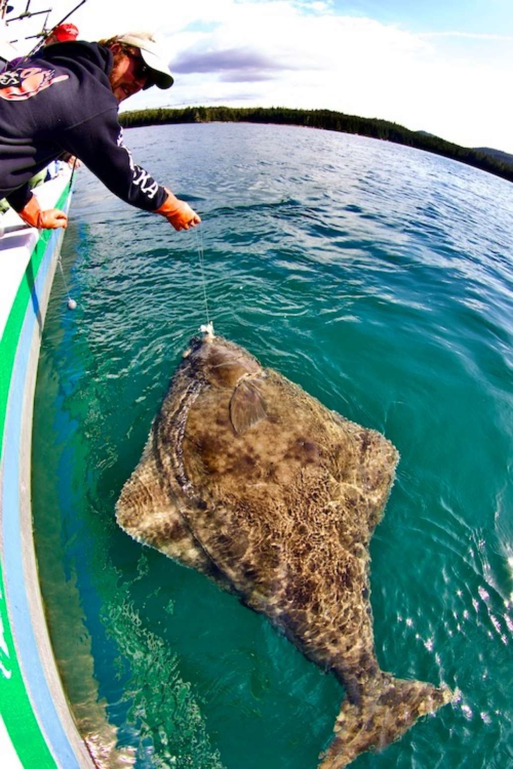 The Lodge at Whale Pass, Alaska