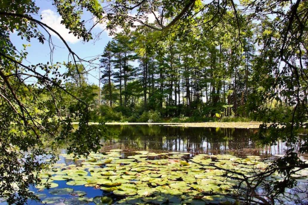 Mass. Audubon Ipswich River Wildlife Sanctuary