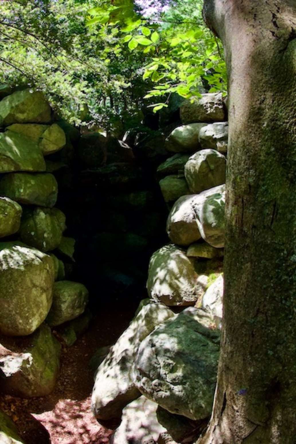 Mass. Audubon Ipswich River Wildlife Sanctuary