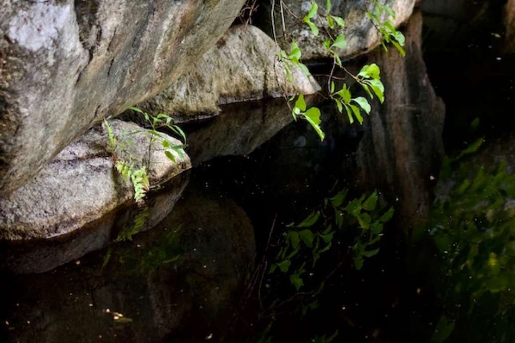 Mass. Audubon Ipswich River Wildlife Sanctuary