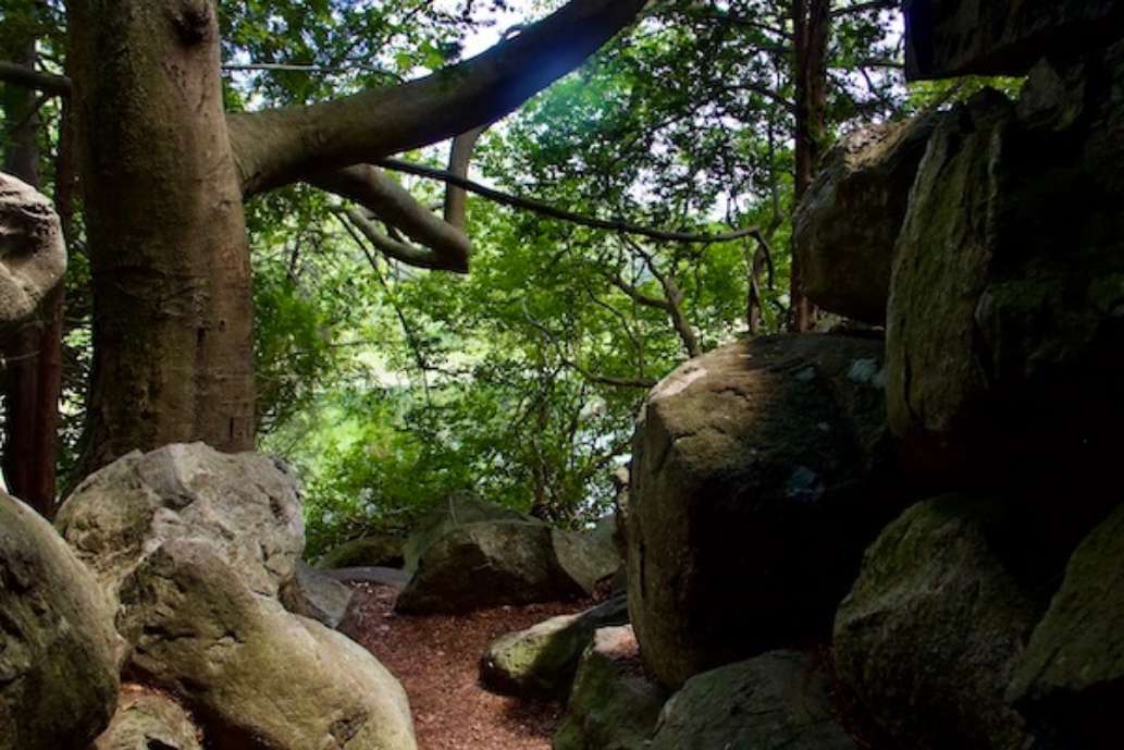 Mass. Audubon Ipswich River Wildlife Sanctuary