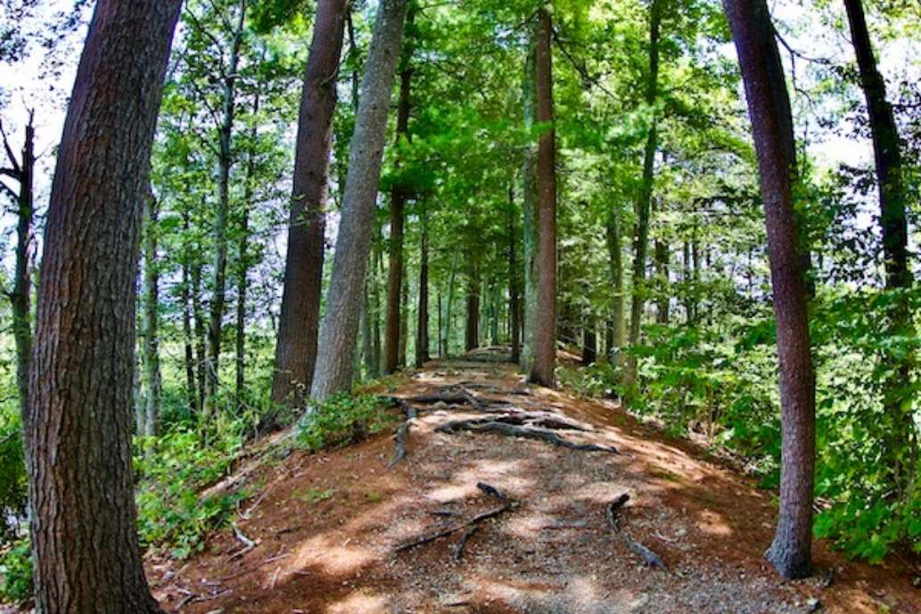 Mass. Audubon Ipswich River Wildlife Sanctuary